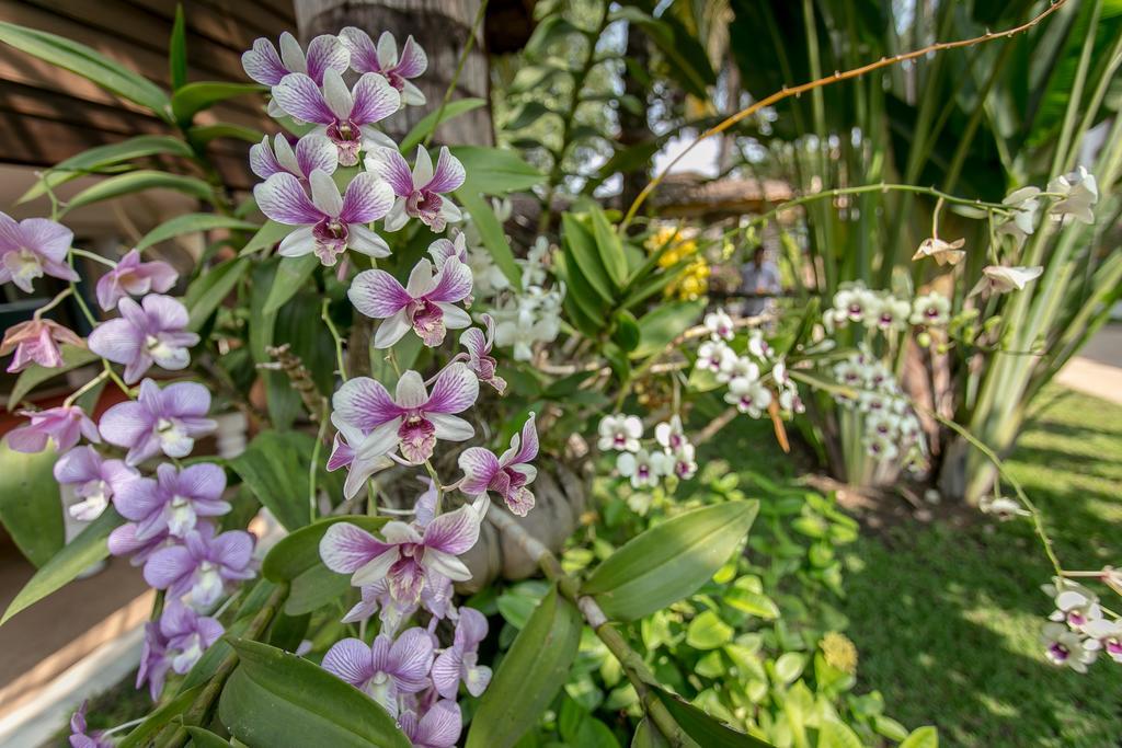 Apsara Suorkear Villa Siem Reap Zewnętrze zdjęcie